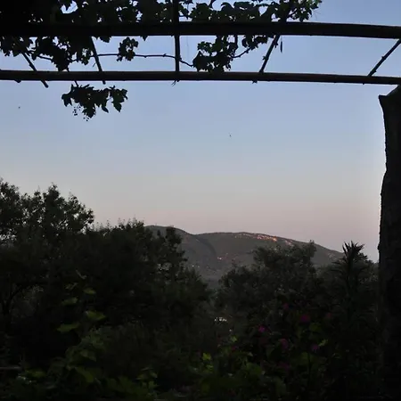 Finetsioslenia House *