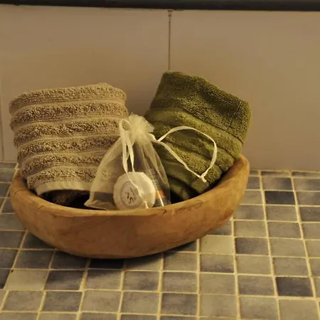 度假居 Finetsioslenia House