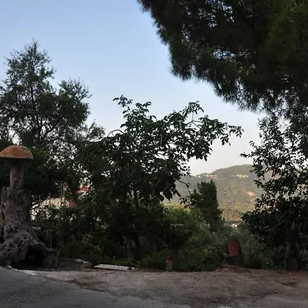 Finetsioslenia House *